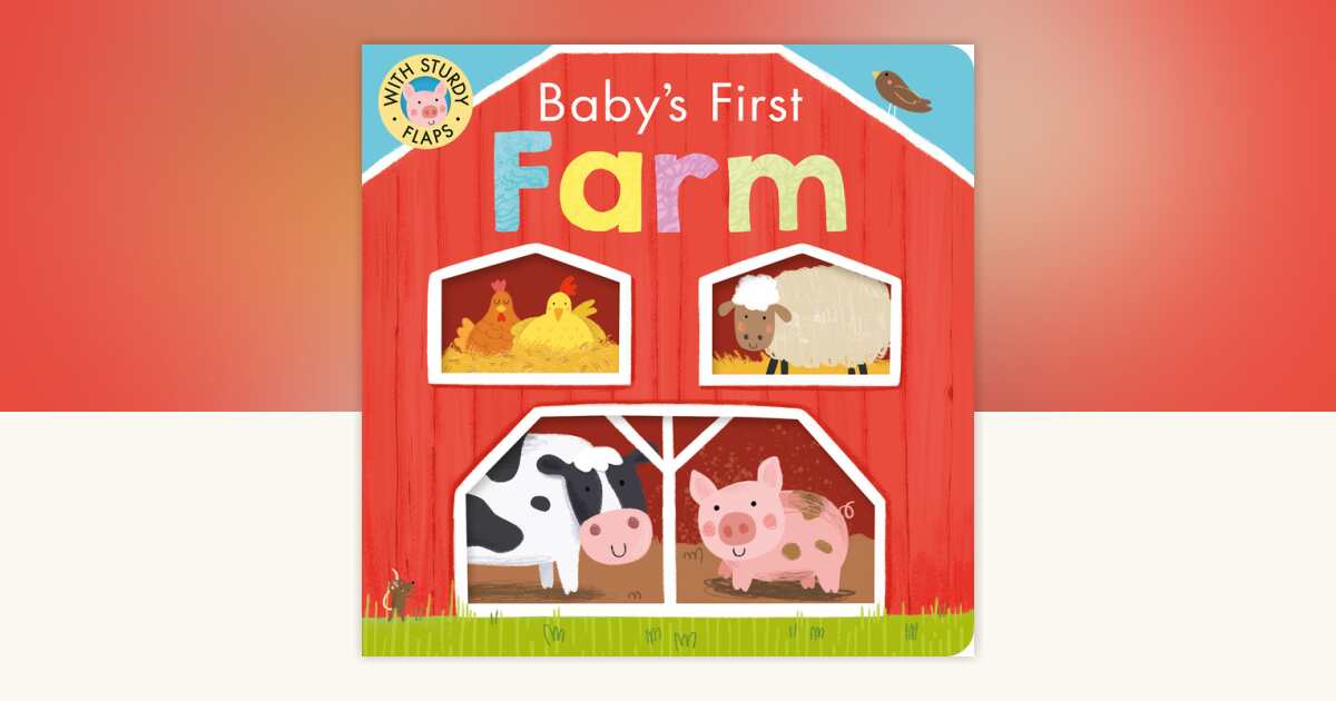 Baby's First Farm by Danielle McLean: 9781680106596 ...